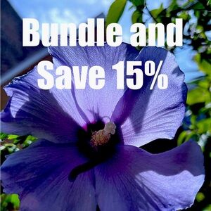 Save 15% on 3 items!